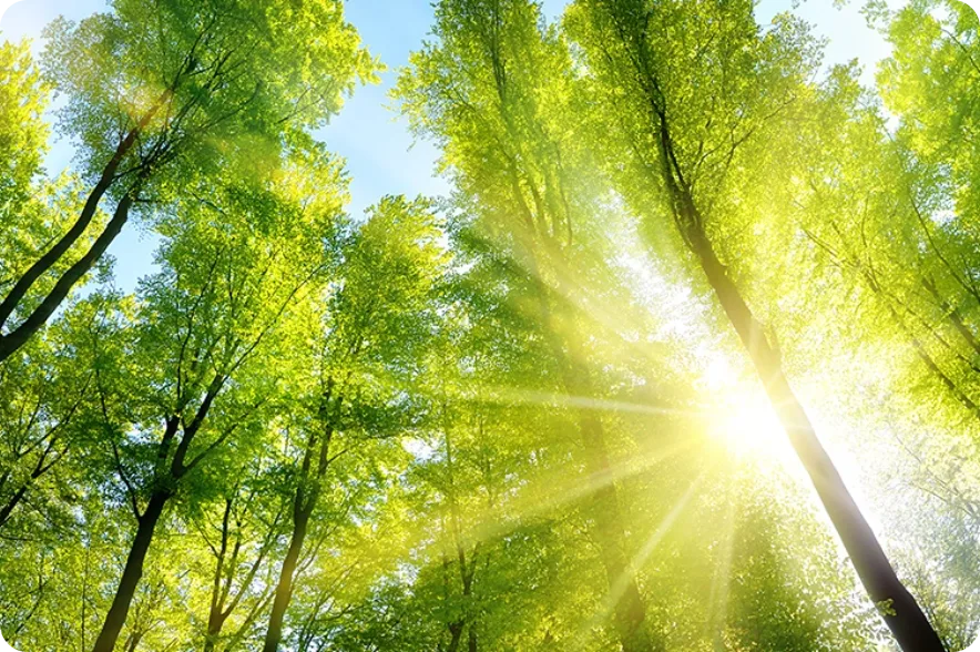 Commitment to a Greener Future